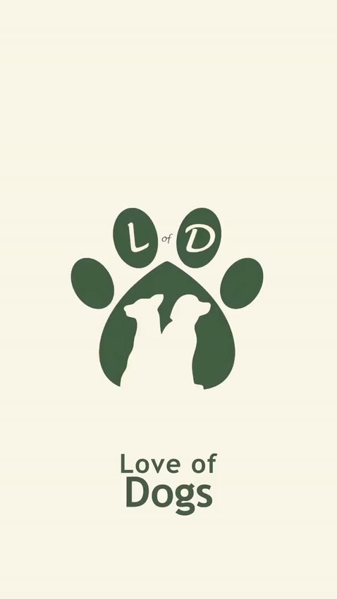 Aerial and ground footage of the Love of Dogs Boarding retreat and exercise areas